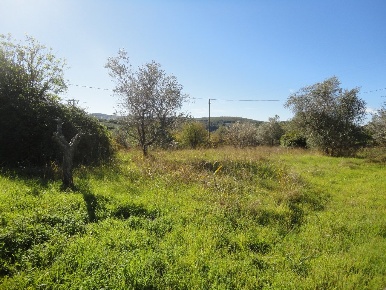 Foto Terreno residenziale a Casciana Terme Lari in vendita