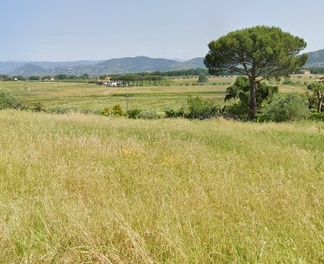 Foto Terreno residenziale a Lamporecchio Centro di 4370 m² in vendita