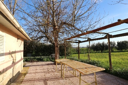 Foto Terreno agricolo a Santa Maria a Monte in vendita