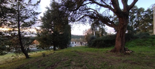 Foto Terreno agricolo a Roccastrada in vendita