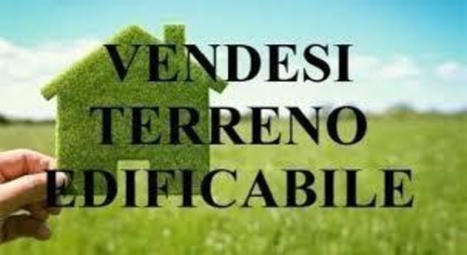 Foto Terreno residenziale a San Giuliano Terme Colignola, Campo di 5000 m²