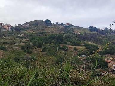 Foto Terreno agricolo a Castelmola di 2200 m² in vendita