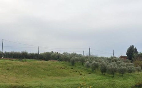 Foto Terreno agricolo a Lamporecchio Centro di 3220 m² in vendita