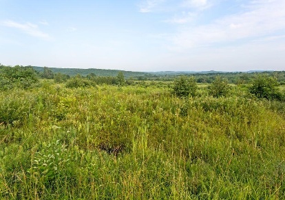 Foto Terreno industriale a Larciano San Rocco di 7000 m² in vendita