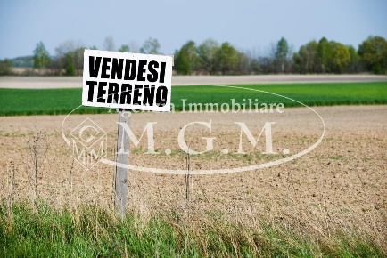 Foto Terreno agricolo a Castelfranco di Sotto in vendita