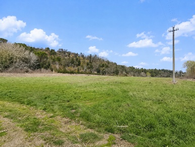 Foto Terreno agricolo a Palaia di 21620 m² in vendita