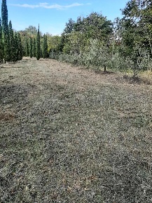 Foto Terreno agricolo a Casciana Terme Lari San Ruffino di 2730 m²
