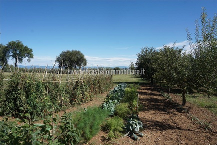 Foto Terreno agricolo a Sarteano di 6700 m² in vendita