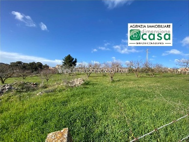 Foto Terreno agricolo in SP6, San Cataldo di 16000 m² in vendita