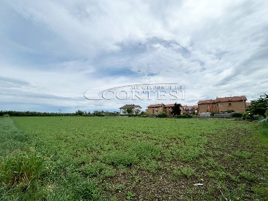 Foto Terreno residenziale a Fano di 5729 m² in vendita