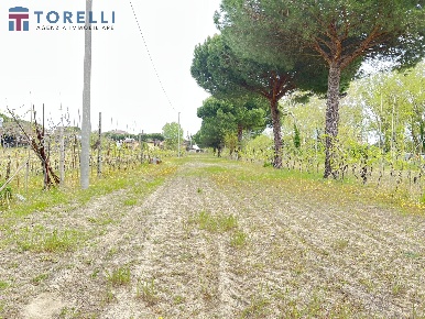 Foto Terreno residenziale in via Pinarella 365, Cervia di 7600 m²