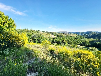 Foto Terreno agricolo a Perugia di 10000 m² in vendita