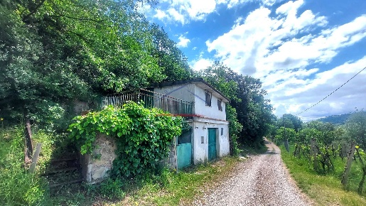 Foto Terreno agricolo a Capolona di 70 m² in vendita