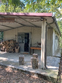 Foto Terreno agricolo a Carmignano di 44000 m² in vendita