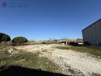 Foto Terreno commerciale a Cervia di 3050 m² in vendita
