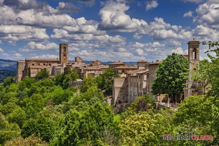 Foto Terreno a Colle di Val d'Elsa Gracciano, Selvamaggio, Belvedere