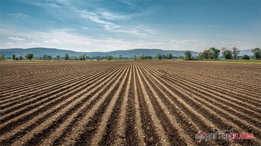 Foto Terreno a Colle di Val d'Elsa Gracciano, Selvamaggio, Belvedere