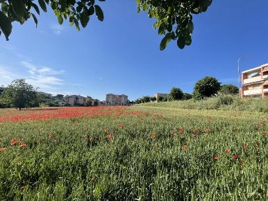 Foto Terreno edificabile in Via Costa Del Monte, Mosciano Sant'Angelo