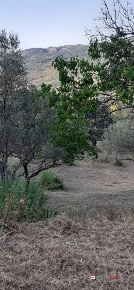 Foto Terreno edificabile in San Fratello, Caronia Centro Storico di 3000 m²