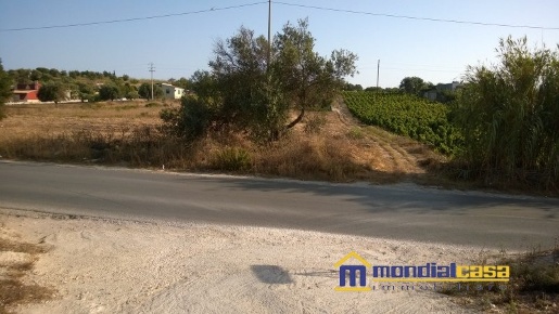 Foto Terreno a Pachino Centro di 21517 m² in vendita