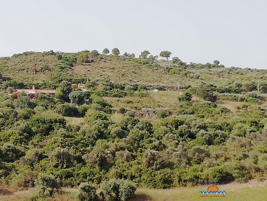 Foto Terreno edificabile in Località Li Russi, Castelsardo in vendita
