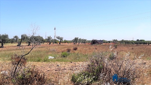 Foto Terreno edificabile in Via Crocifisso, Bari Japigia di 10500 m²