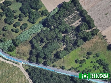 Foto Terreno a Marigliano di 3300 m² in vendita