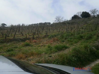 Foto Terreno edificabile a Rosignano Marittimo di 35 m² in vendita