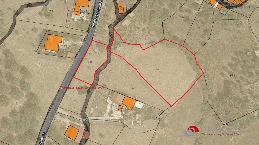 Foto Terreno edificabile a San Lorenzo San Pantaleone di 4000 m² in vendita
