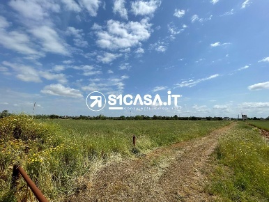 Foto Terreno in Via San Giuseppe Da Copertino, Galatone di 18400 m²