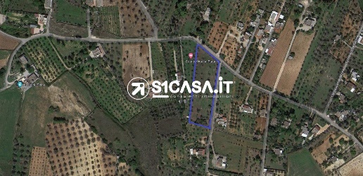 Foto Terreno a Galatone di 6740 m² in vendita