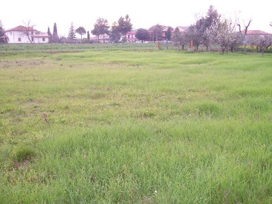Foto Terreno edificabile a Cepagatti Sant'agata di 1653 m² in vendita