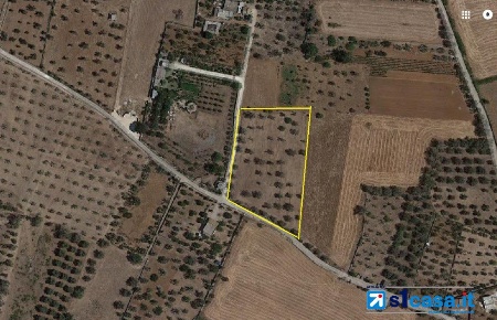 Foto Terreno in C.da Camascia, Galatone di 10000 m² in vendita