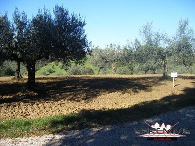 Foto Terreno edificabile a Cepagatti di 7980 m² in vendita