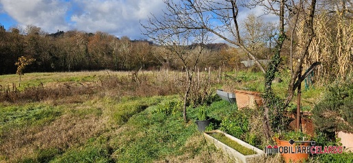 Foto Terreno a Poggibonsi Staggia di 12500 m² in vendita