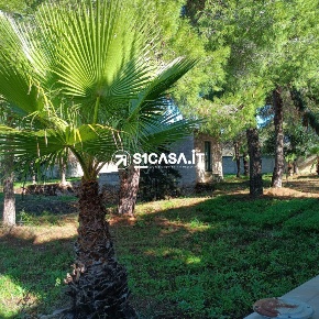 Foto Terreno in via Scolatura, Galatone di 1450 m² in vendita