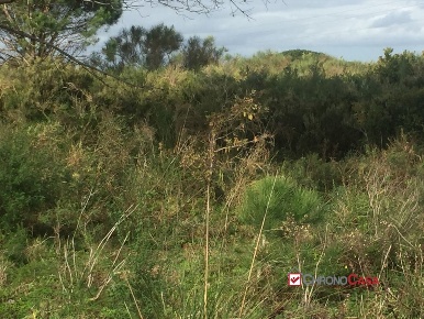 Foto Terreno edificabile in Castanea, Messina Castanea - Salice di 3260 m²
