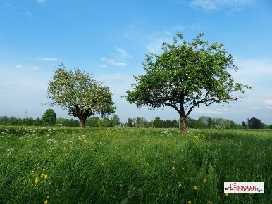 Foto Terreno in via Parini, Corbetta Castellazzo, Soriano, Cerello