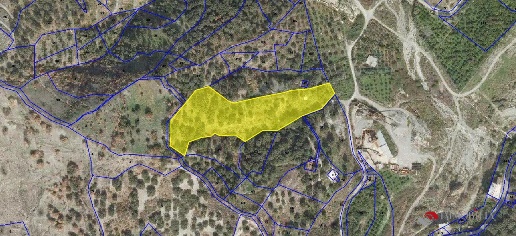 Foto Terreno edificabile a Bagaladi di 11150 m² in vendita