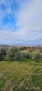 Foto Terreno a Casole d'Elsa di 8000 m² in vendita