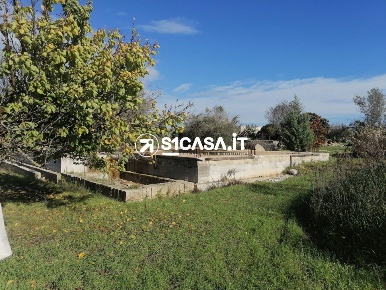 Foto Terreno in contrada mongetti, Galatone di 6000 m² in vendita
