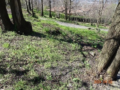 Foto Terreno edificabile in Via Della Boggia, Ello di 1900 m² in vendita