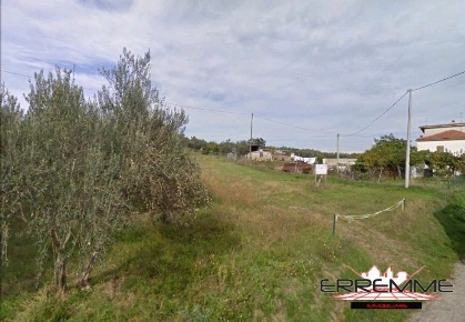 Foto Terreno edificabile a Cugnoli di 8095 m² in vendita