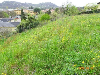 Foto Terreno edificabile in Via al Chiarè, Oggiono di 3700 m² in vendita