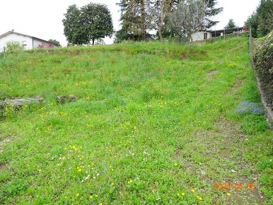 Foto Terreno edificabile in Via al Chiarè, Oggiono di 3700 m² in vendita