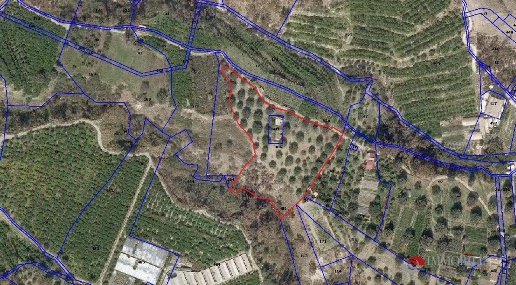 Foto Terreno edificabile a Melito di Porto Salvo di 11000 m² in vendita