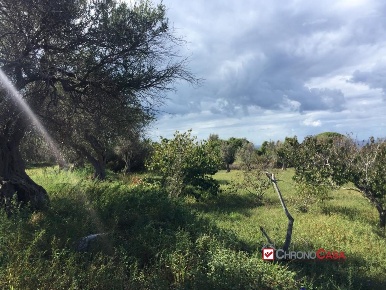 Foto Terreno edificabile a Messina Ortoliuzzo - San Saba di 4000 m²