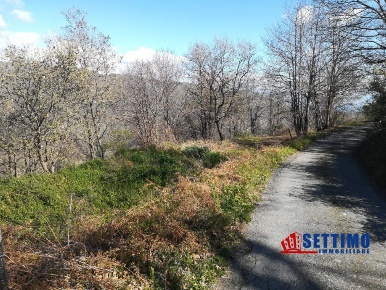 Foto Terreno edificabile a Savoca di 19000 m² in vendita