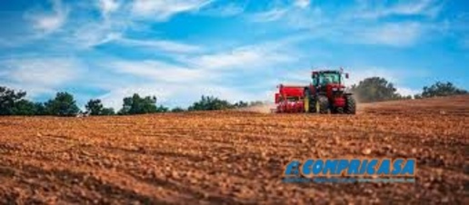 Foto Terreno edificabile a Montagnana Centro di 7199 m² in vendita
