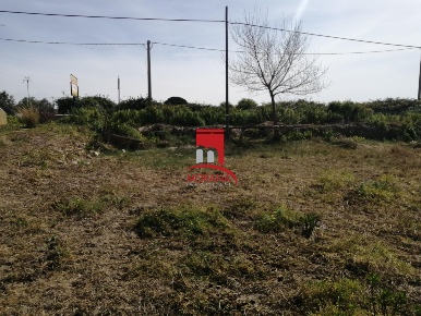 Foto Terreno edificabile in S.P. 21 Trapani Marsala, Trapani Palma